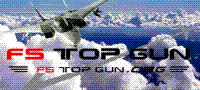 FS Top Gun